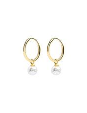 Pastiche  Bella Hoops - E1965YGPL